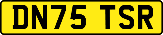 DN75TSR