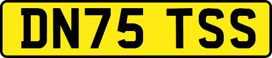 DN75TSS