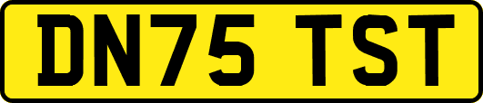 DN75TST