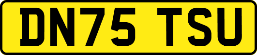 DN75TSU