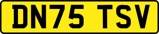 DN75TSV