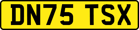 DN75TSX