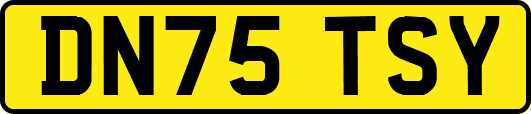 DN75TSY