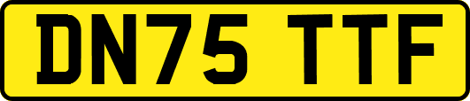 DN75TTF