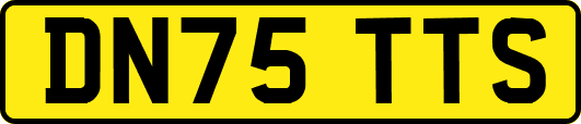 DN75TTS