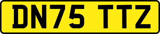 DN75TTZ