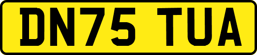 DN75TUA