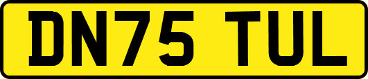 DN75TUL