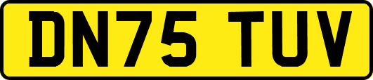 DN75TUV