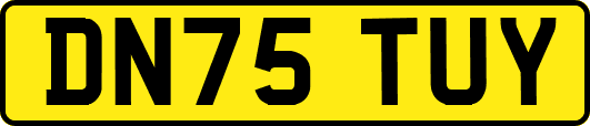 DN75TUY