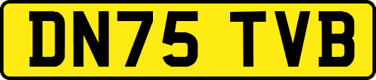 DN75TVB