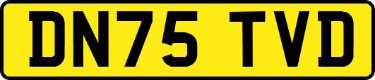 DN75TVD