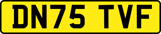 DN75TVF