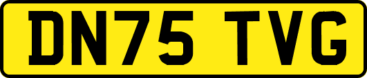 DN75TVG