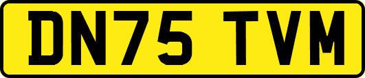 DN75TVM