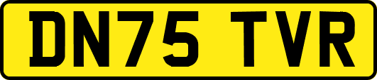 DN75TVR