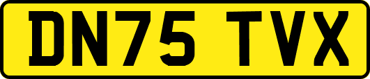 DN75TVX