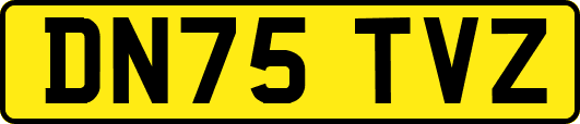 DN75TVZ