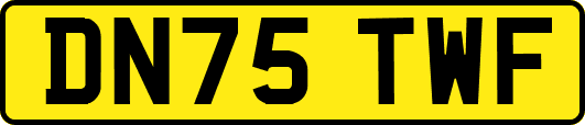 DN75TWF