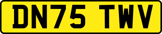 DN75TWV