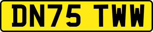 DN75TWW
