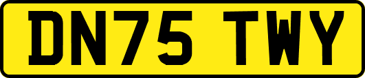 DN75TWY