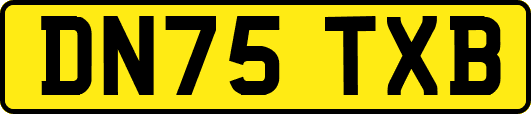 DN75TXB