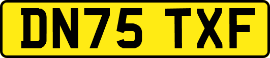 DN75TXF