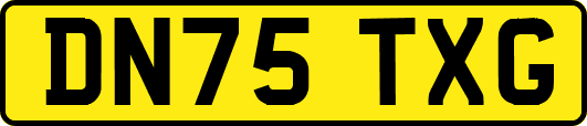 DN75TXG