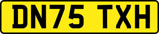 DN75TXH
