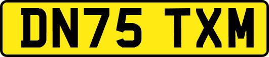 DN75TXM