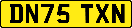 DN75TXN