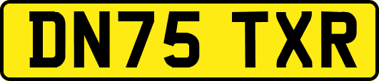 DN75TXR