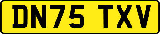 DN75TXV