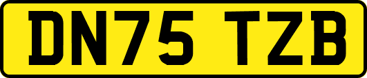 DN75TZB