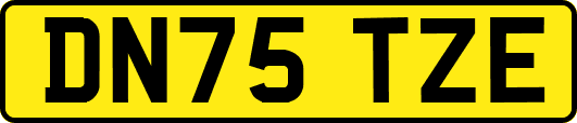DN75TZE