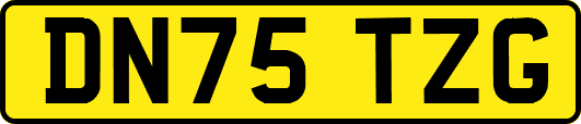 DN75TZG