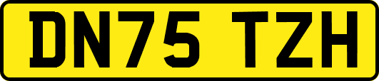 DN75TZH