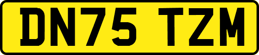 DN75TZM