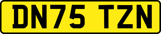 DN75TZN