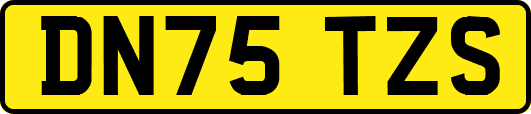 DN75TZS