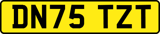 DN75TZT