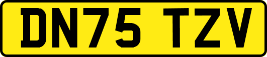 DN75TZV