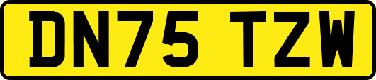 DN75TZW