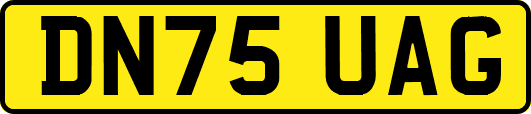 DN75UAG