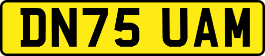DN75UAM
