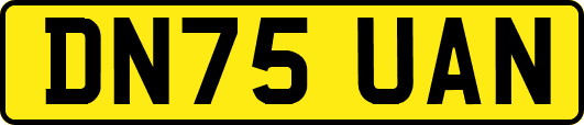 DN75UAN