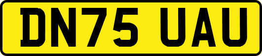 DN75UAU