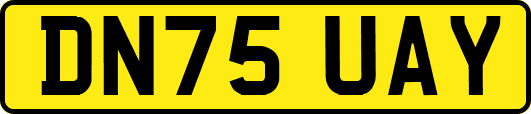 DN75UAY