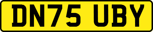DN75UBY